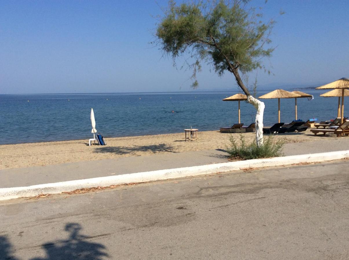 Paradise Blue *