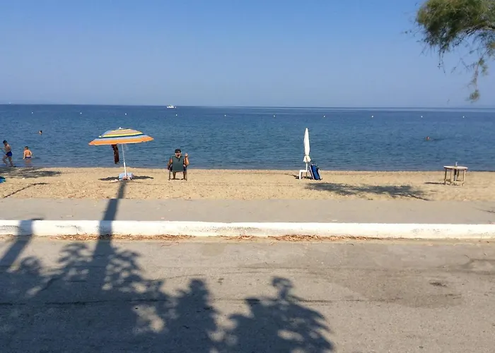 Paradise Blue