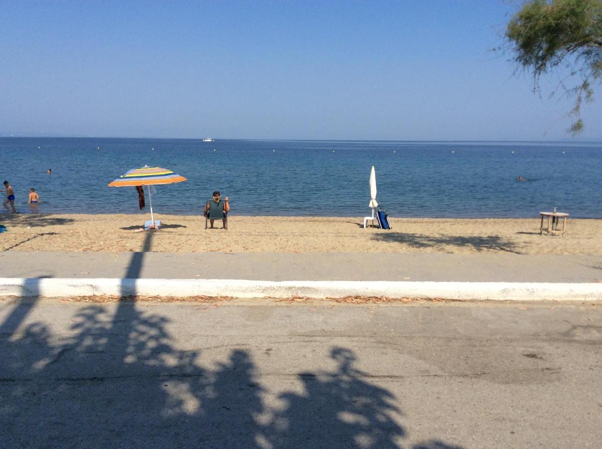 Ferienhaus Paradise Blue *